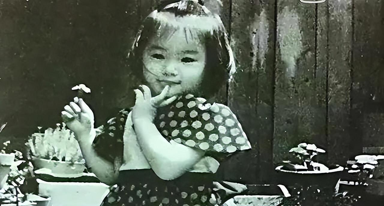 pp电子-堕落的“清纯女星”酒井法子,这张腿间蝴蝶背后,隐藏着的故事