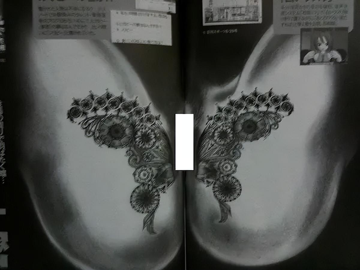 pp电子-堕落的“清纯女星”酒井法子,这张腿间蝴蝶背后,隐藏着的故事